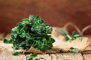Oregano Condiment